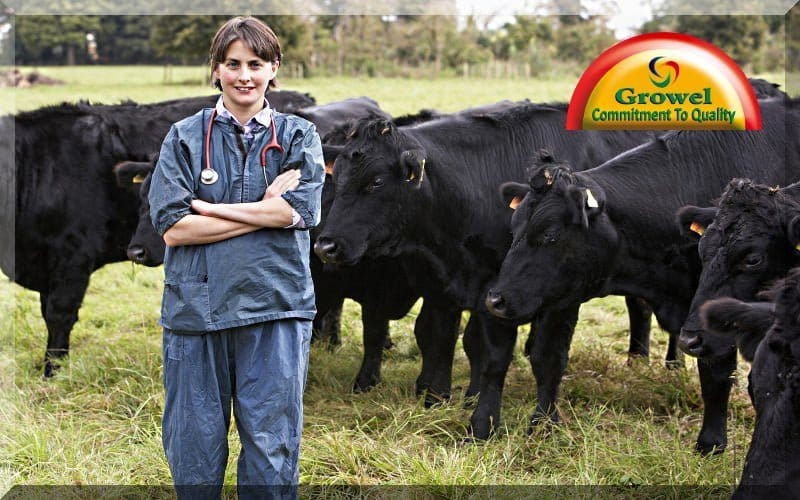 पशुपालन