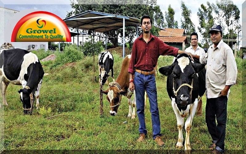 डेयरी फार्म उधोग