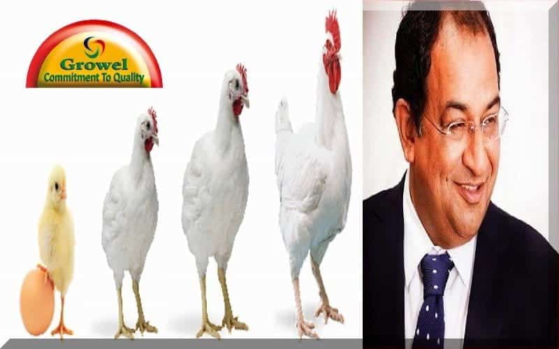 मुर्गी पालन