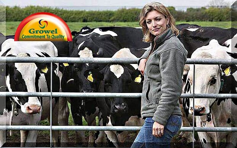 हिंदी में पशुपालन गाइड