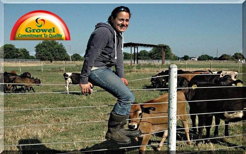 हिंदी में पशुपालन गाइड