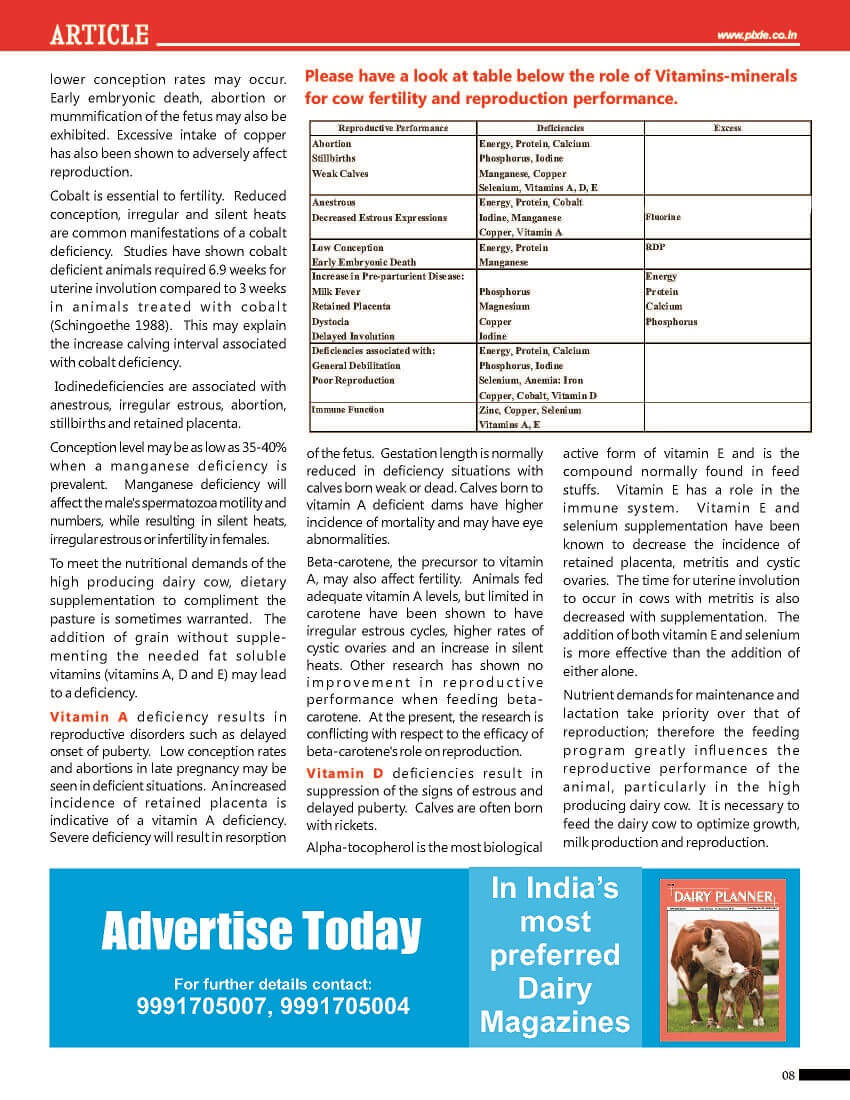 Vitamins & Minerals for Cow Fertility