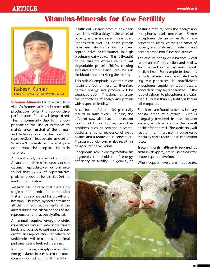 Vitamins-Minerals-for-Cow-Fertility