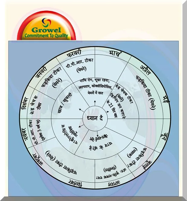 ग्रोवेल-का-पशुपालन-कैलेंडर