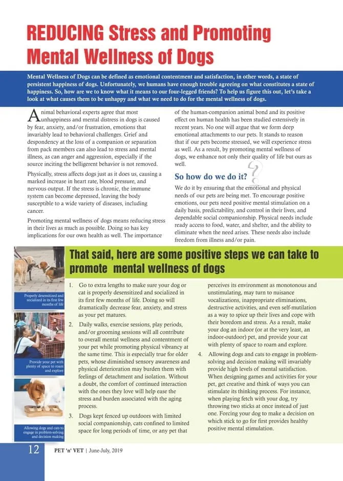Reducing-Stress-Promoting-Mental-Wellness-of-Dogs-1-