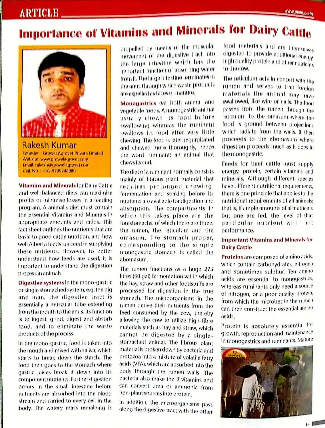 Importance-of-Vitamins-Minerals-for-Dairy-Cattle