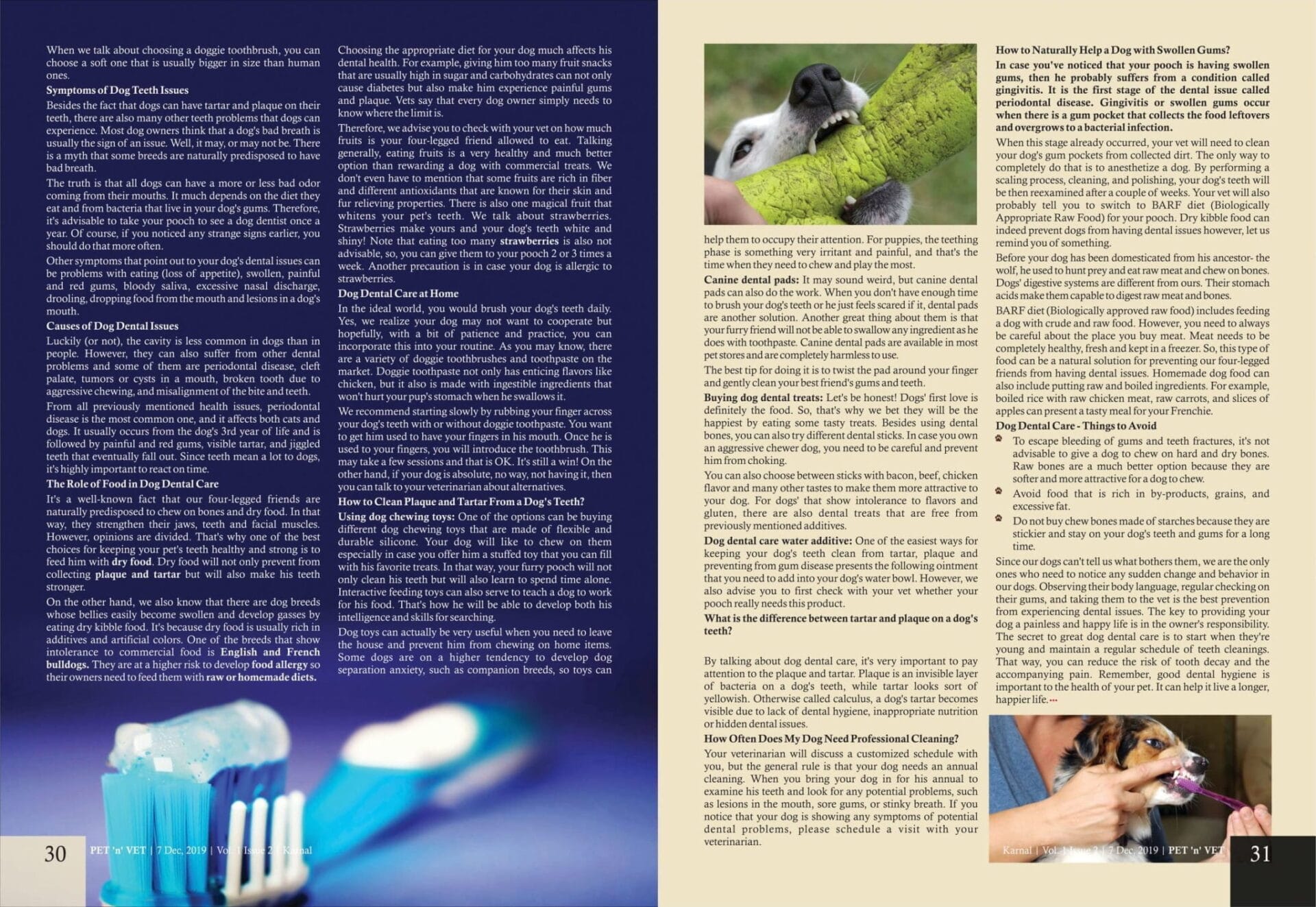 Dog's Dental Care & Cleaning