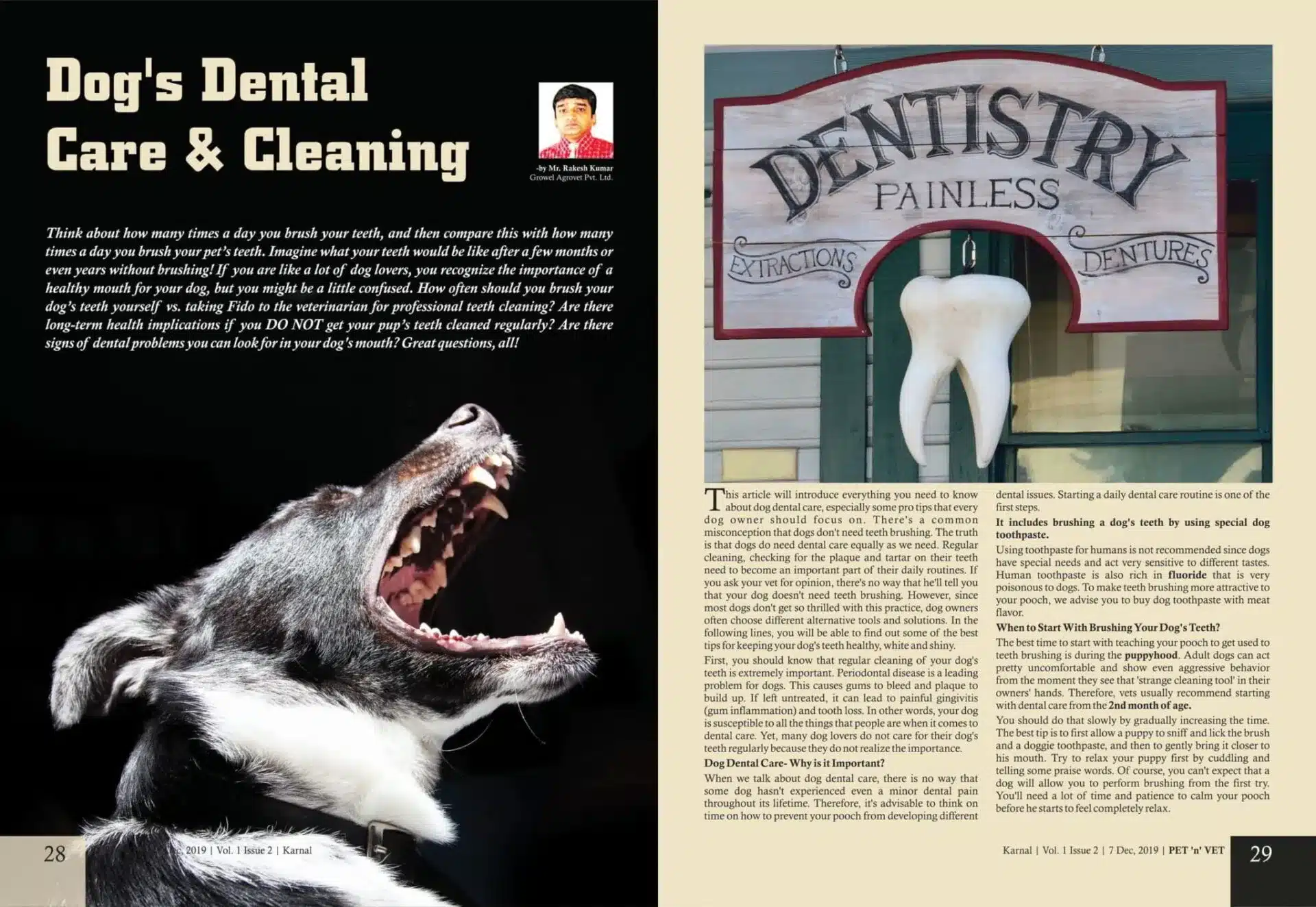 Dogs-Dental-Care-Cleaning