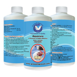 water sanitiser for poultry