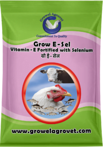 Vitamin -E Fortified with Selenium for Poultry & Cattle