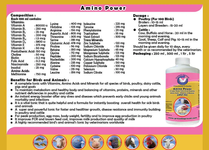 AMINO-POWER-4