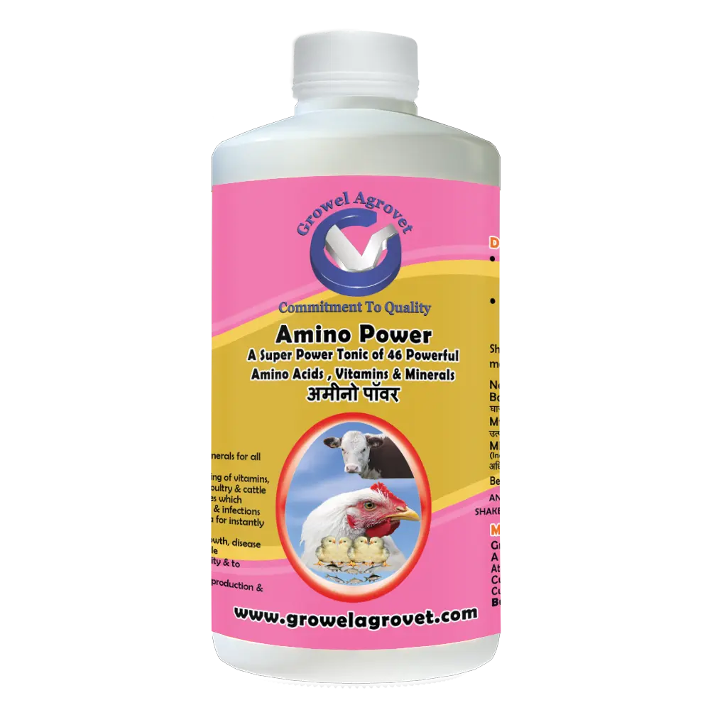 Amino-Power-1