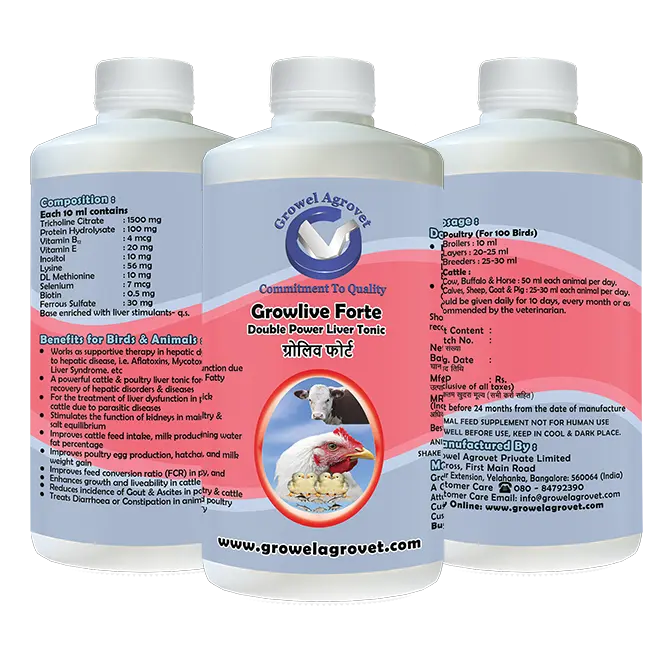 Growlive-Forte