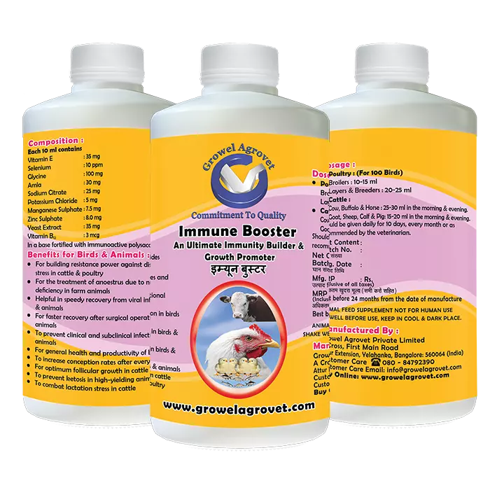 Immune_Booster
