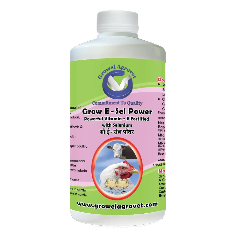 grow-e-sel-power-1