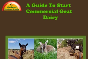 Commercial Goat Dairy Guide