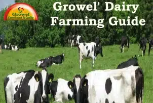 Dairy Farming Guide