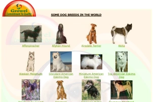 Dog Breeds