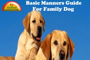 Dog Training Guide