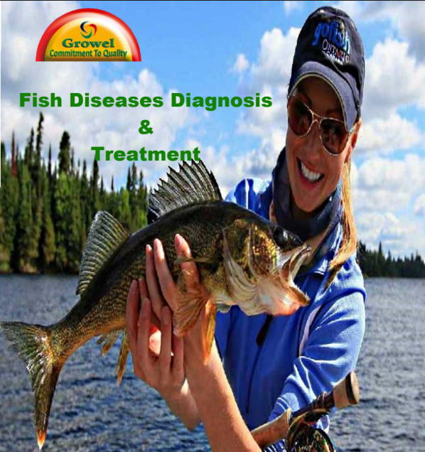 Fish desiease