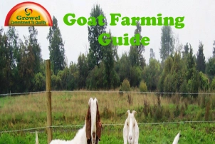 Goat Farming Guide