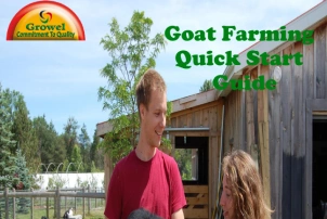 Goat Farming Quick Start Guide