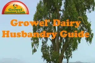 Growel Dairy Husbandry Guide