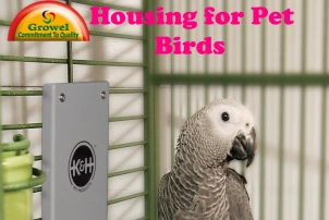 Housing for Pet Birds