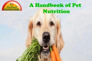 Pet Nutrition Guide