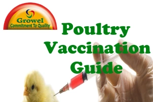 Poultry Vaccination Guide
