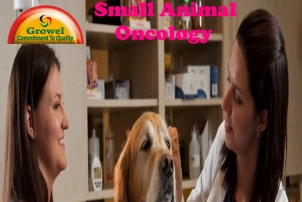 Small Animal Oncology