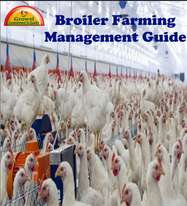 broiler-farming