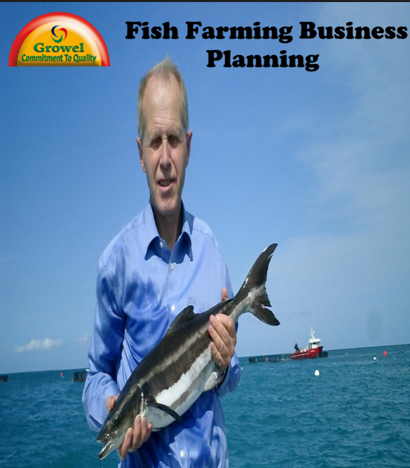 fish farming business guide