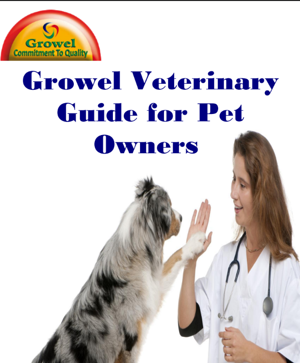 guide-for-pet