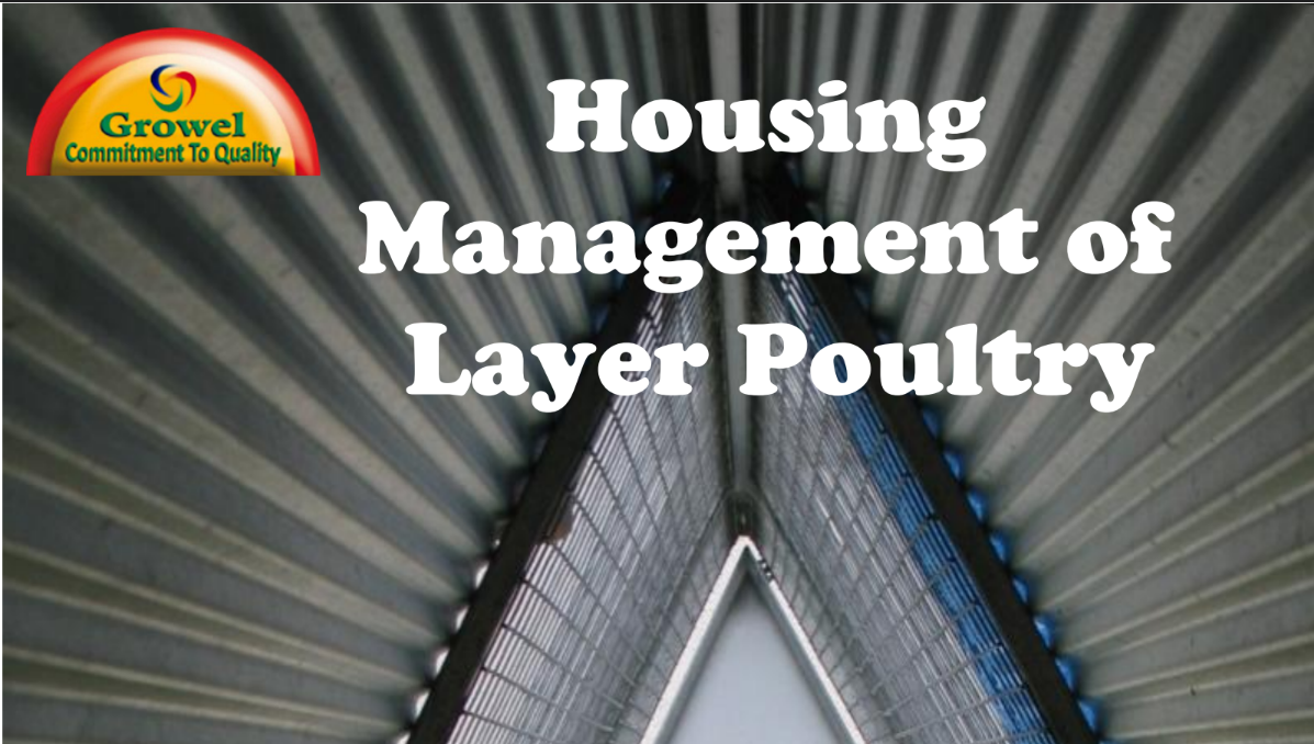 housing-management