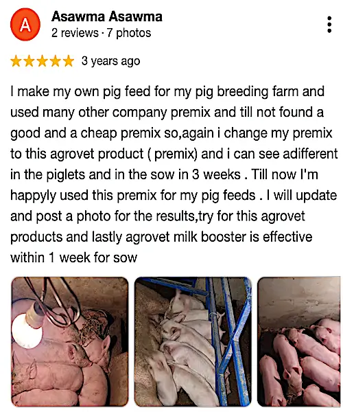 Growel-Google-Review-2