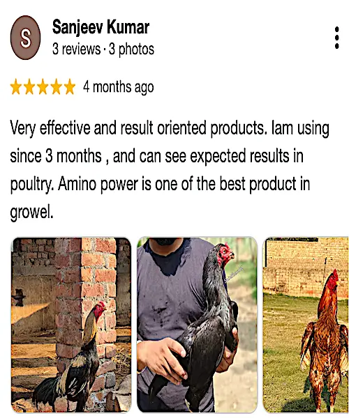 Growel-Google-Review-3